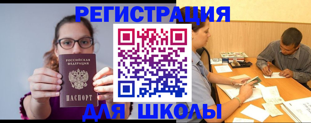форма 3 в Новосибирской области